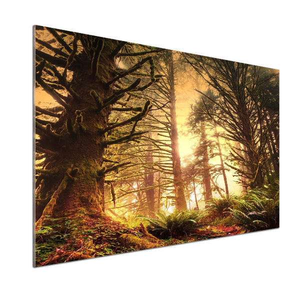 Panel do kuchni Las deszczowy