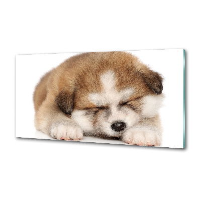 Panel antisalpicaduras Cachorro de Akita