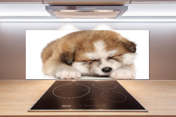 Panel antisalpicaduras Cachorro de Akita