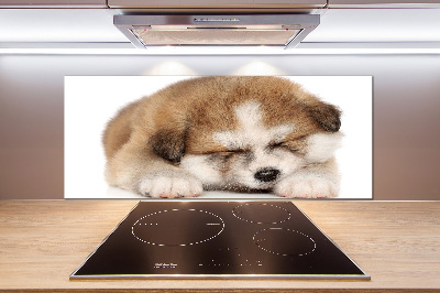 Panel antisalpicaduras Cachorro de Akita