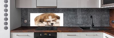 Panel antisalpicaduras Cachorro de Akita