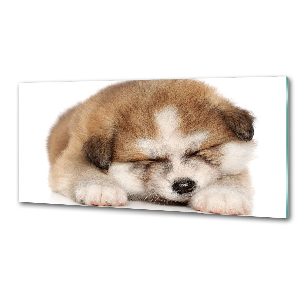 Panel antisalpicaduras Cachorro de Akita