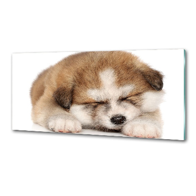 Panel antisalpicaduras Cachorro de Akita