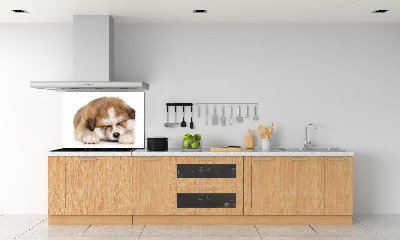 Panel antisalpicaduras Cachorro de Akita