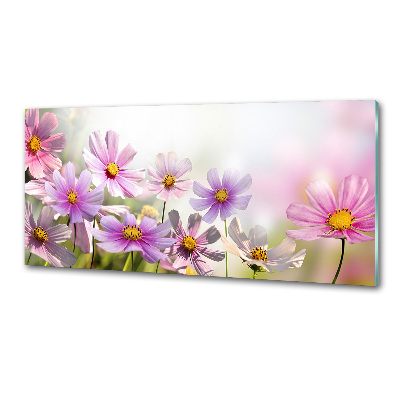 Panel do kuchni Kwiaty na łące