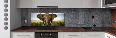Panel para cocina Elefante en la sabana