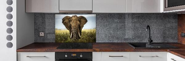 Panel para cocina Elefante en la sabana