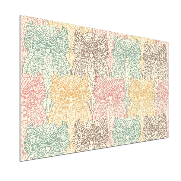 Panel de pared de cocina Búhos