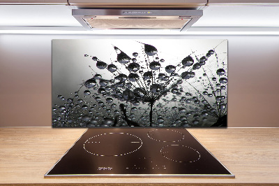 Panel para cocina semillas de diente de león