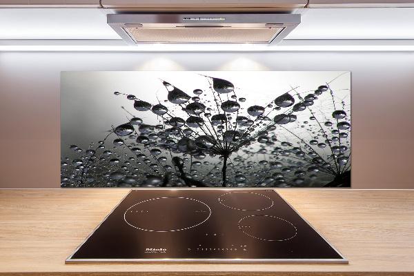 Panel para cocina semillas de diente de león