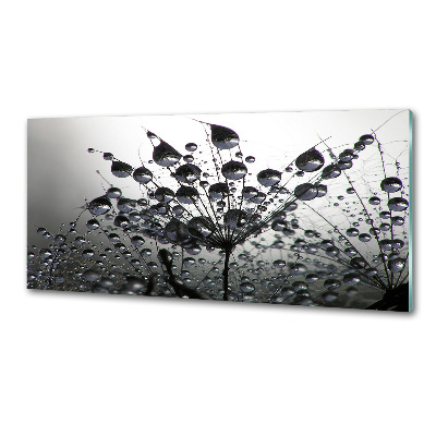 Panel do kuchni Nasiona dmuchawca