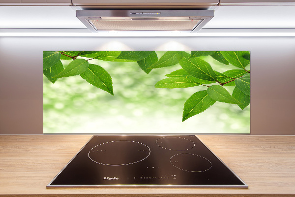 Panel de pared de cocina hojas verdes