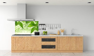 Panel de pared de cocina hojas verdes