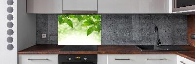 Panel de pared de cocina hojas verdes