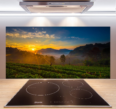 Panel para cocina Plantación de té