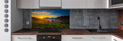 Panel do kuchni Plantacja herbaty