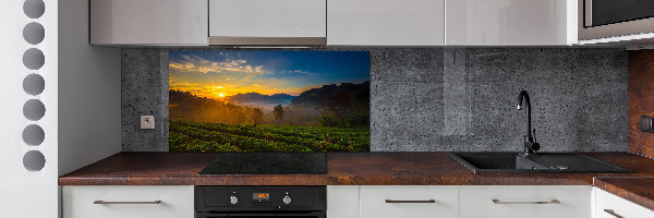 Panel para cocina Plantación de té