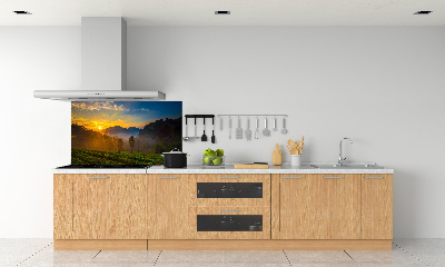 Panel para cocina Plantación de té