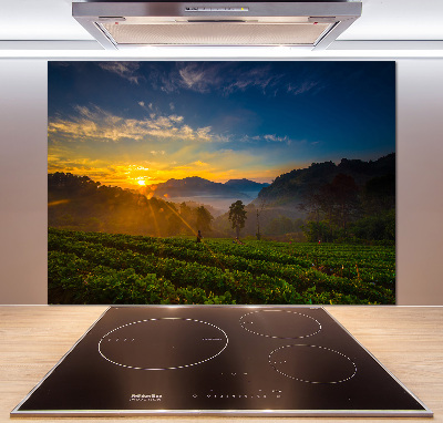 Panel para cocina Plantación de té