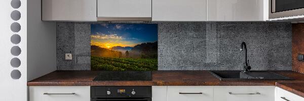 Panel do kuchni Plantacja herbaty