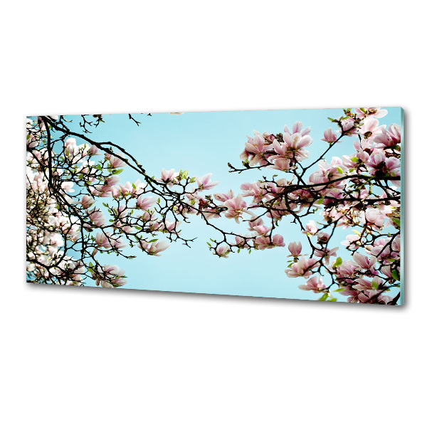 Panel de pared de cocina flores de magnolia