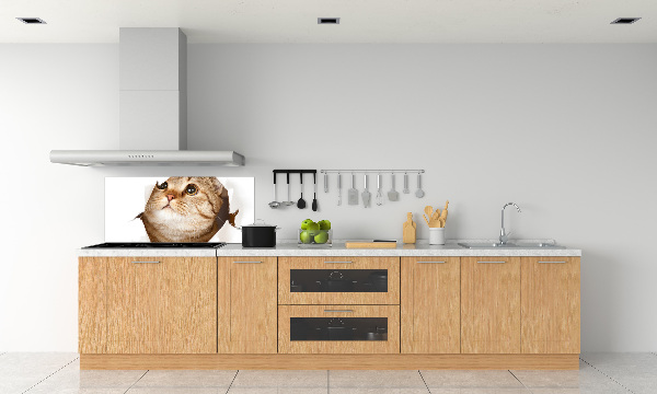 Panel de pared de cocina Gato