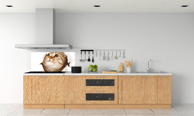 Panel de pared de cocina Gato