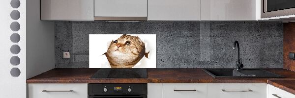 Panel de pared de cocina Gato