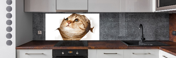 Panel de pared de cocina Gato