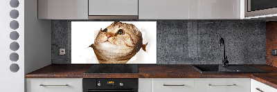 Panel de pared de cocina Gato