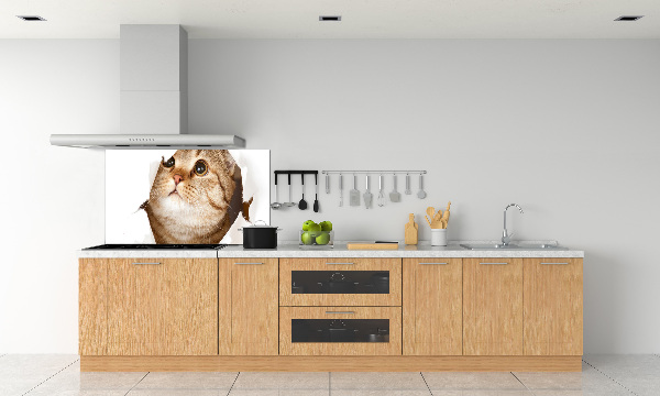 Panel de pared de cocina Gato