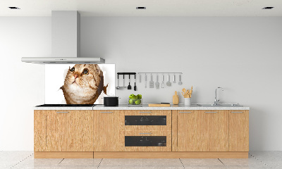 Panel de pared de cocina Gato