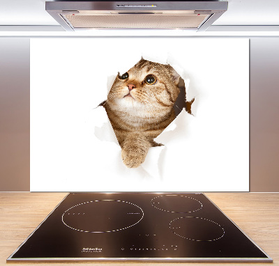 Panel de pared de cocina Gato