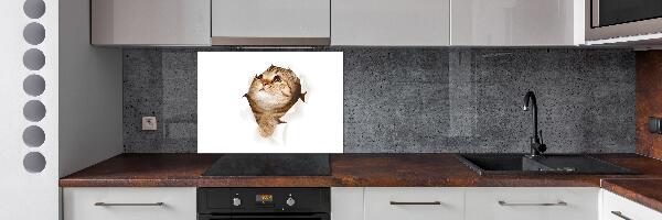 Panel de pared de cocina Gato