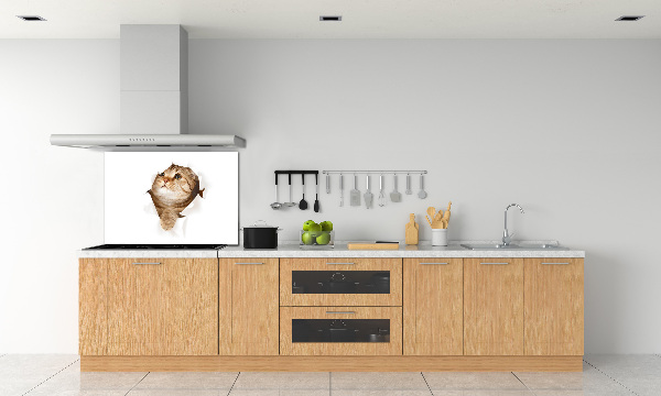 Panel de pared de cocina Gato
