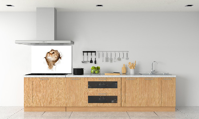 Panel de pared de cocina Gato