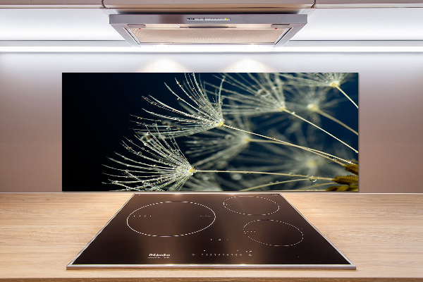 Panel do kuchni Nasiona dmuchawca