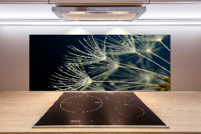 Salpicadero de cocina semillas de diente de león