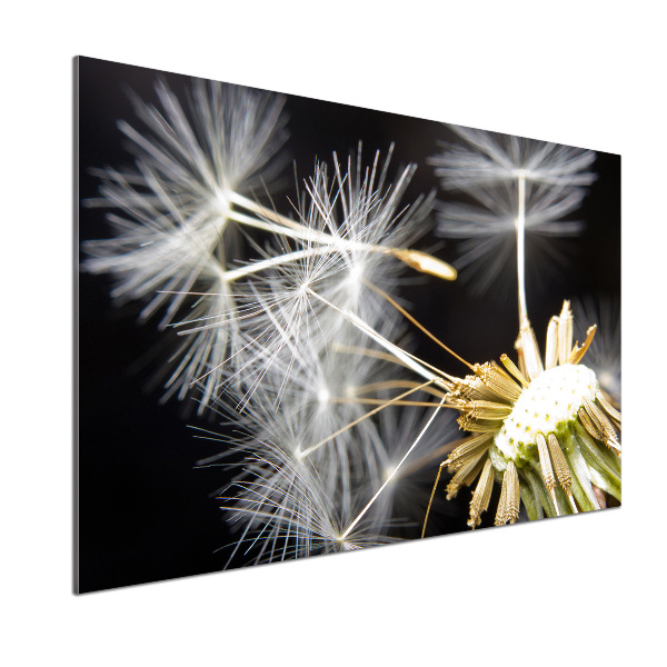 Panel do kuchni Nasiona dmuchawca