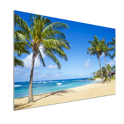 Panel de pared de cocina Playa tropical