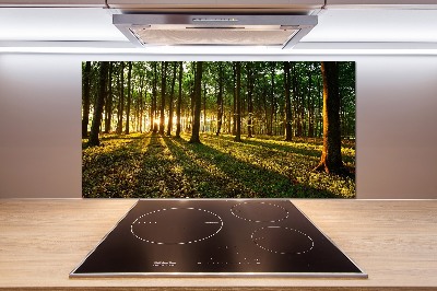 Panel do kuchni Promienie słońca