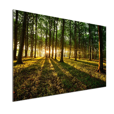 Salpicadero de cocina Rayos de sol