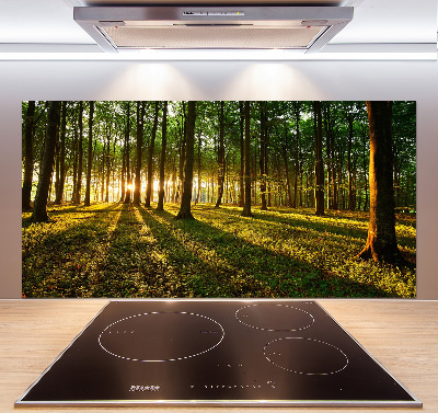 Panel do kuchni Promienie słońca