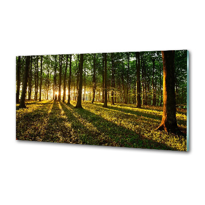 Panel do kuchni Promienie słońca