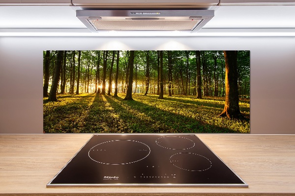 Salpicadero de cocina Rayos de sol