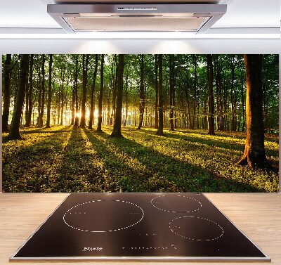 Salpicadero de cocina Rayos de sol