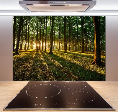 Panel do kuchni Promienie słońca