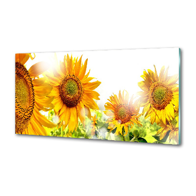 Panel antisalpicaduras Girasoles