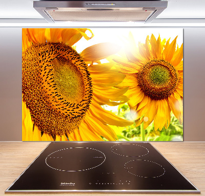 Panel antisalpicaduras Girasoles