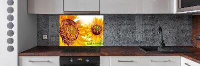 Panel antisalpicaduras Girasoles